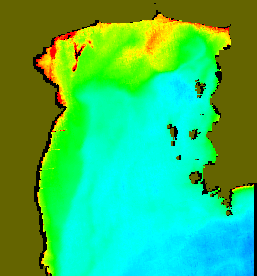 MODIS Aqua 2004/1/2 CHL