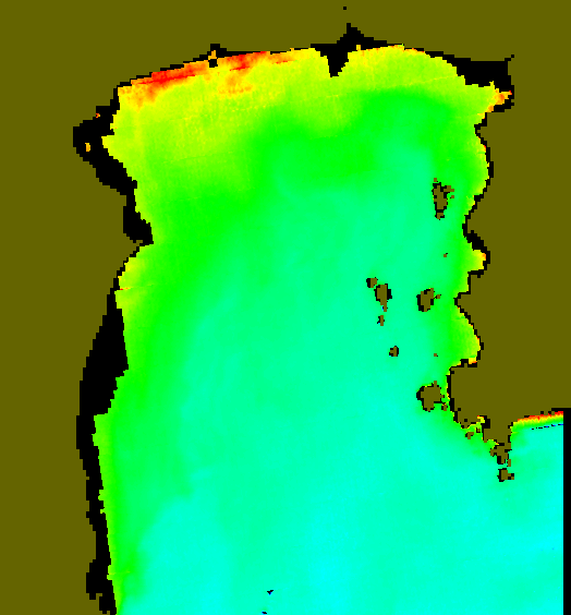 MODIS Aqua 2004/1/25 CHL