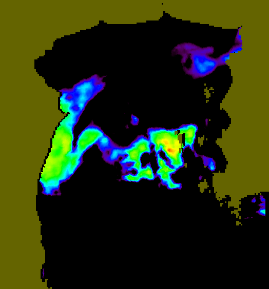 MODIS Aqua 2004/5/5 SST