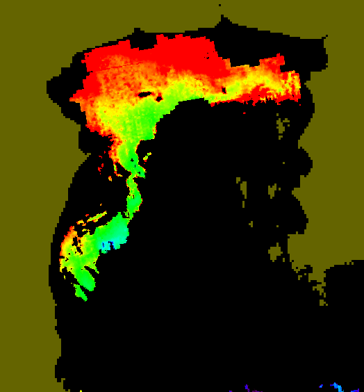 MODIS Aqua 2004/6/3 CHL