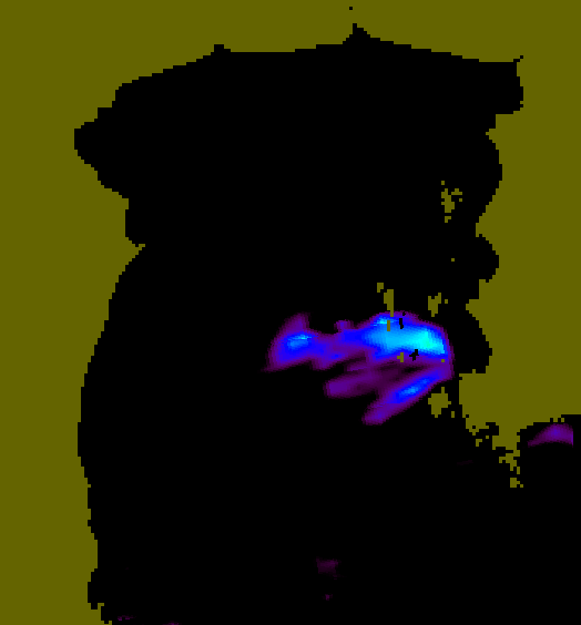 MODIS Aqua 2004/6/14 SST