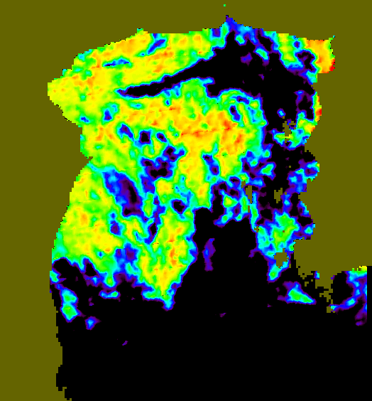 MODIS Aqua 2004/10/5 SST