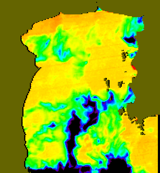 MODIS Aqua 2004/11/8 SST