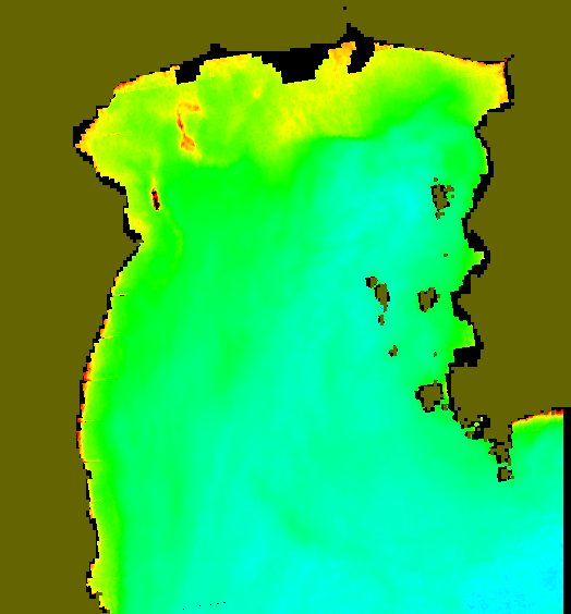 MODIS Aqua 2005/1/4 CHL