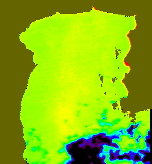 MODIS Aqua 2005/1/13 SST