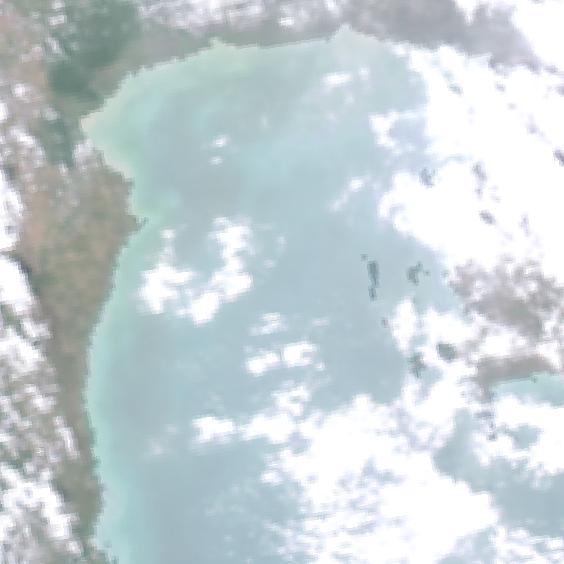 MODIS Aqua 2005/1/20 RGB