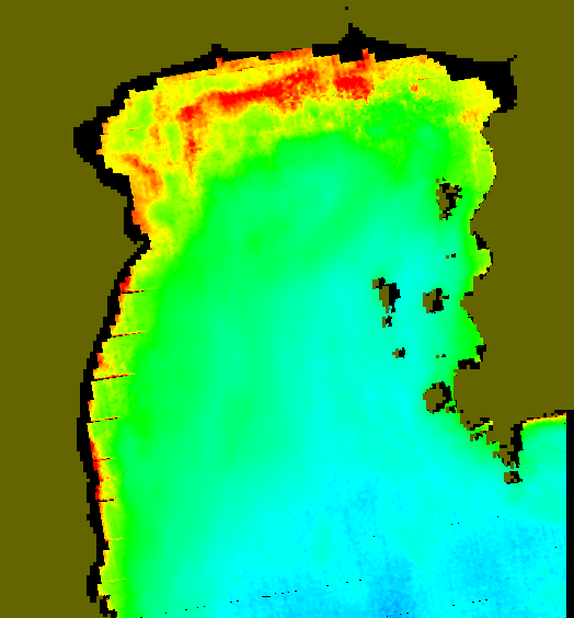 MODIS Aqua 2005/1/29 CHL