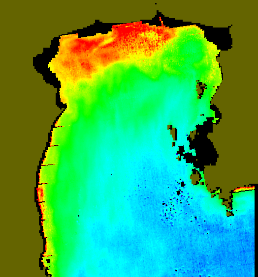 MODIS Aqua 2005/2/3 CHL