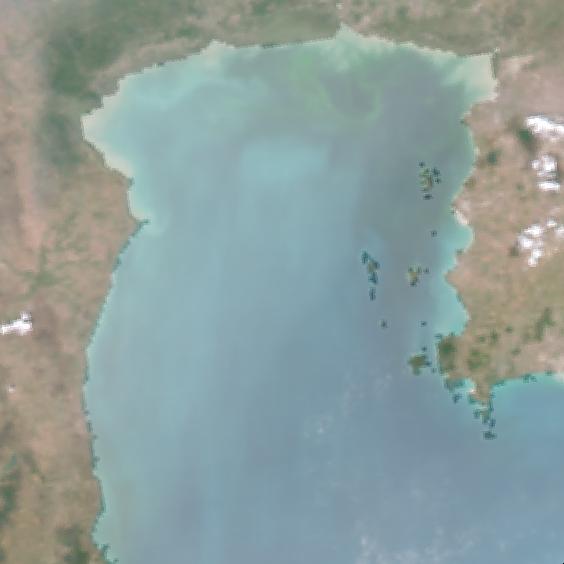 MODIS Aqua 2005/2/19 RGB