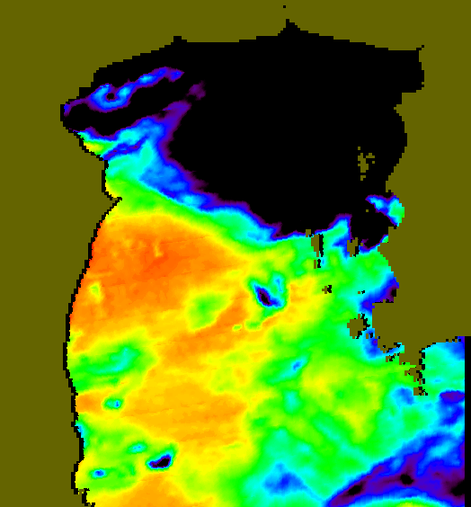 MODIS Aqua 2005/5/12 SST