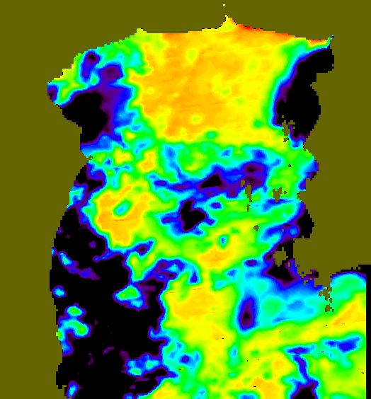 MODIS Aqua 2005/5/31 SST