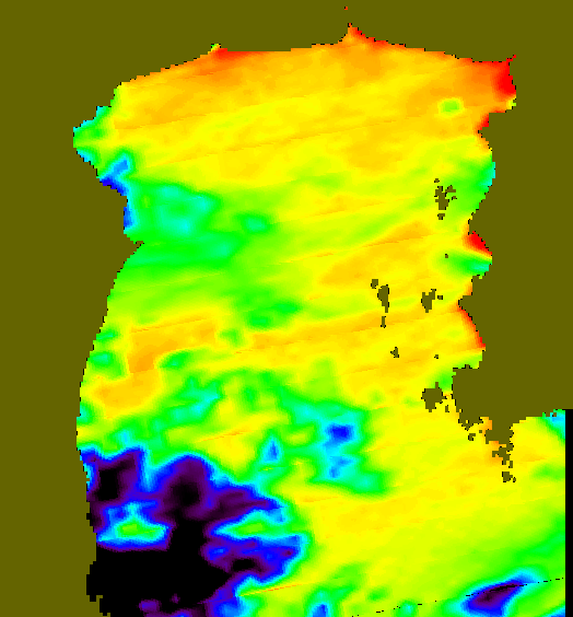 MODIS Aqua 2005/6/8 SST