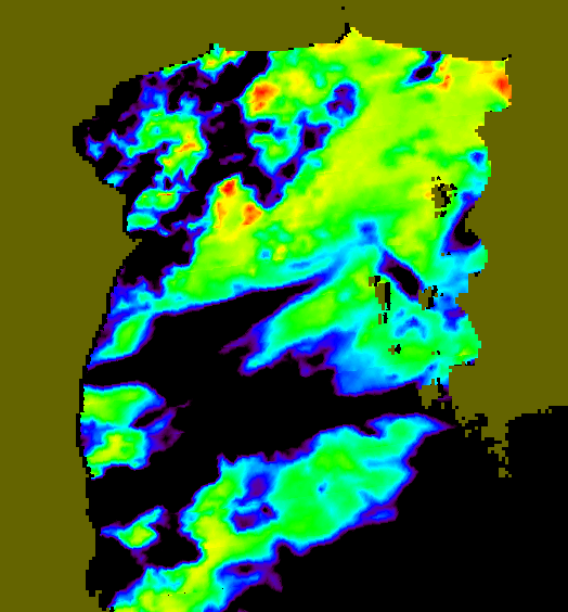 MODIS Aqua 2005/6/25 SST