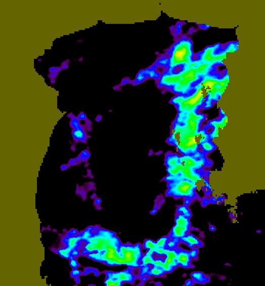 MODIS Aqua 2005/7/27 SST