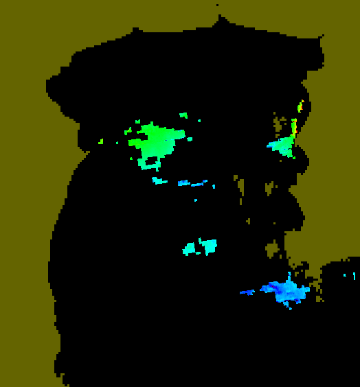 MODIS Aqua 2005/7/29 CHL