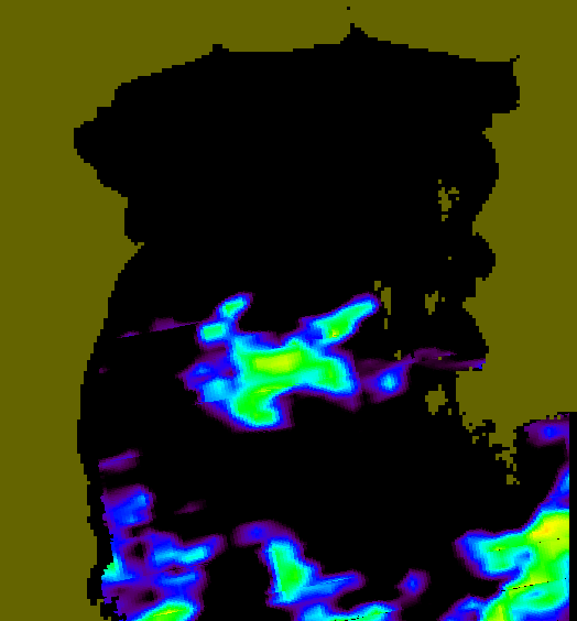 MODIS Aqua 2005/8/4 SST