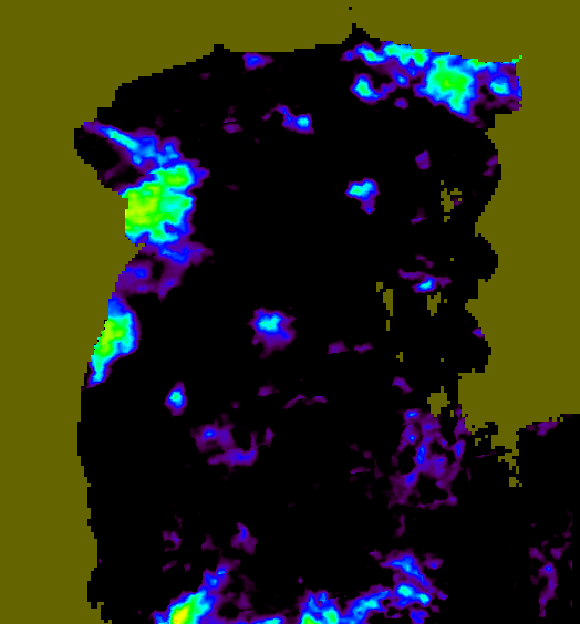 MODIS Aqua 2005/8/5 SST