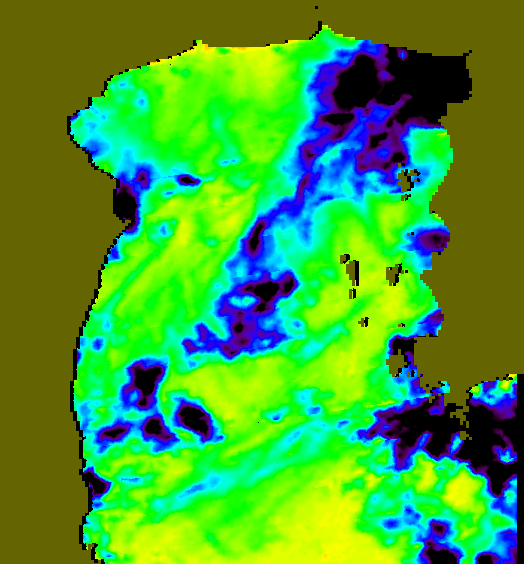 MODIS Aqua 2005/8/7 SST