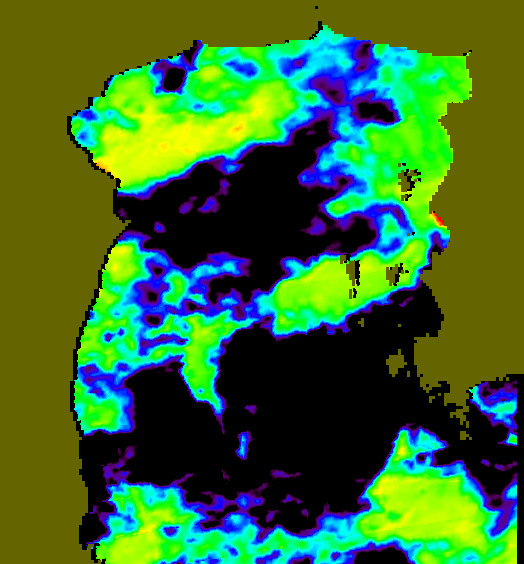 MODIS Aqua 2005/8/16 SST