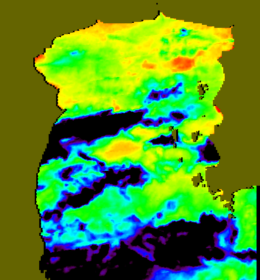 MODIS Aqua 2005/8/30 SST