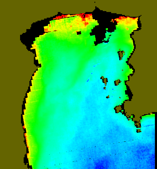 MODIS Aqua 2006/1/9 CHL