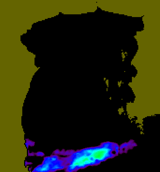 MODIS Aqua 2006/5/29 SST