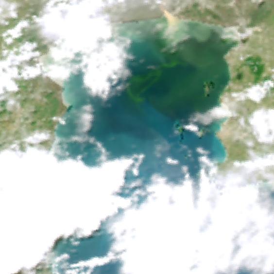 MODIS Aqua 2006/6/5 RGB