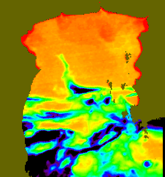 MODIS Aqua 2006/6/12 SST