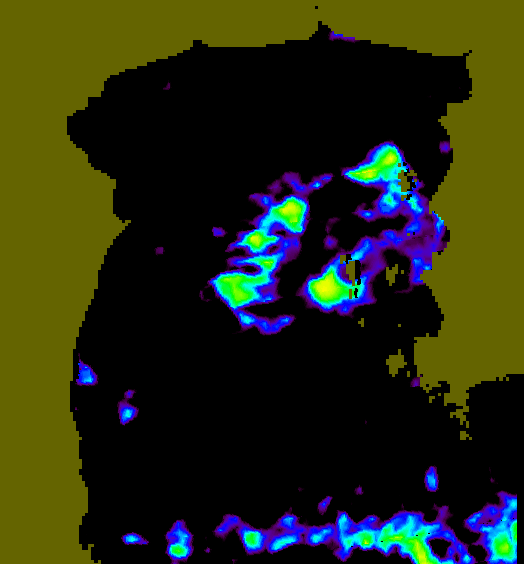 MODIS Aqua 2006/7/27 SST