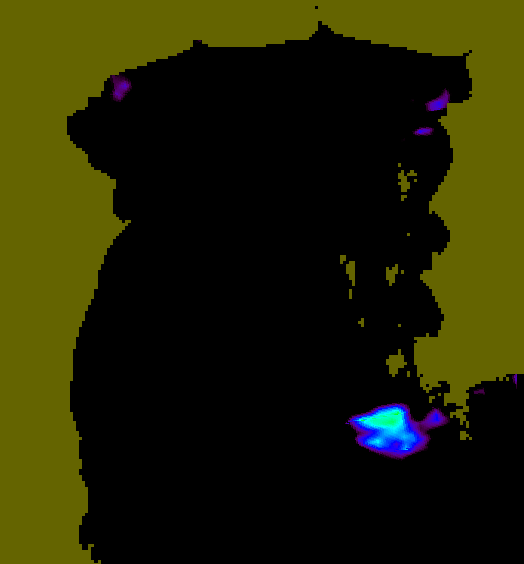 MODIS Aqua 2006/8/14 SST