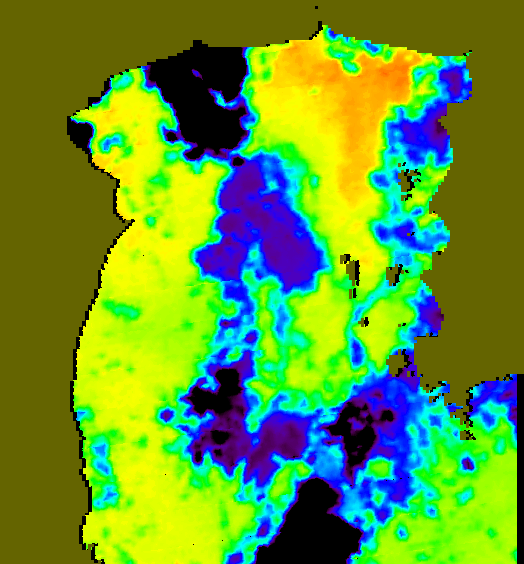 MODIS Aqua 2006/10/11 SST