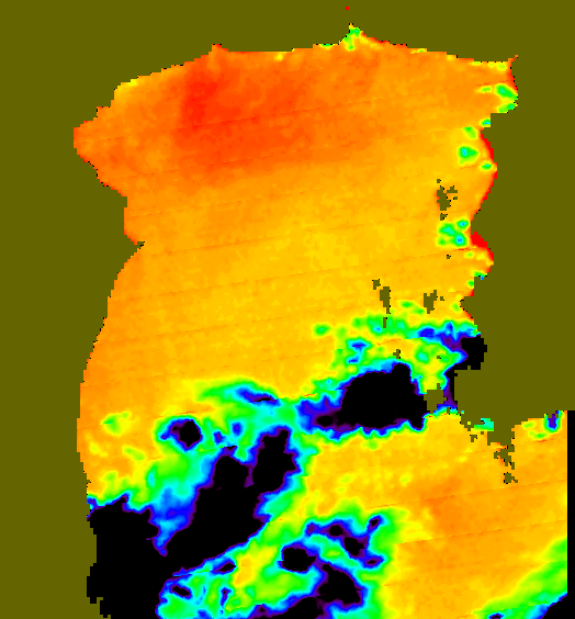 MODIS Aqua 2006/10/20 SST