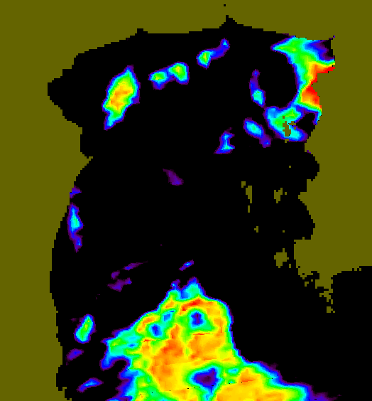 MODIS Aqua 2006/11/1 SST