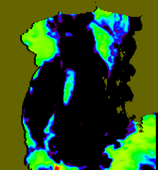 MODIS Aqua 2007/1/3 SST