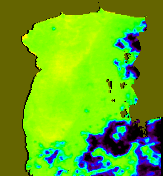 MODIS Aqua 2007/2/7 SST