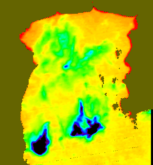 MODIS Aqua 2007/3/24 SST