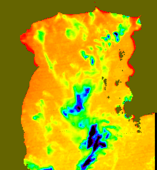 MODIS Aqua 2007/4/21 SST