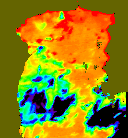 MODIS Aqua 2007/6/6 SST