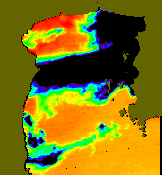 MODIS Aqua 2007/6/8 SST