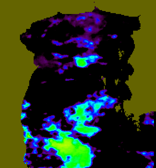 MODIS Aqua 2007/7/1 SST