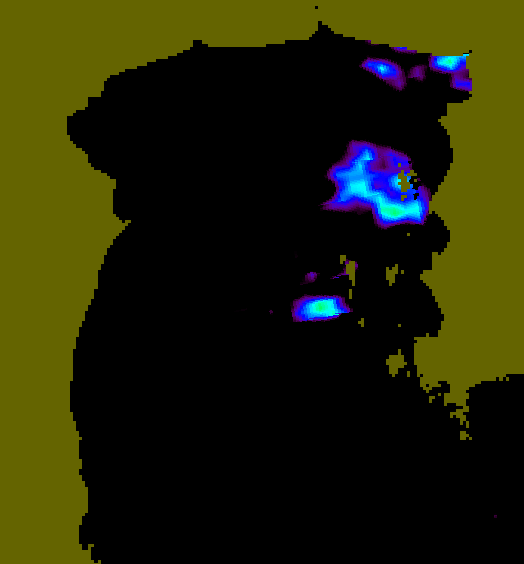 MODIS Aqua 2007/10/13 SST