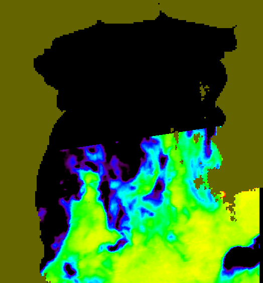 MODIS Aqua 2007/12/19 SST